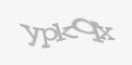 Қорғаныс коды